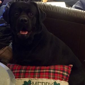 I'm now a suggested user💜💜💜💜💜